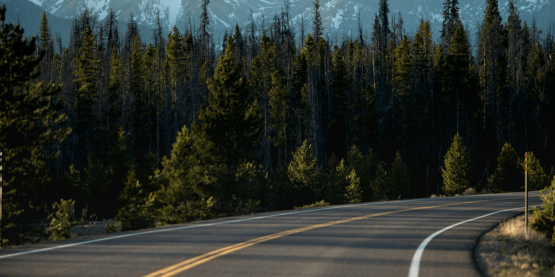 Pacific Coast Highway加州1号公路：从洛杉矶到旧金山